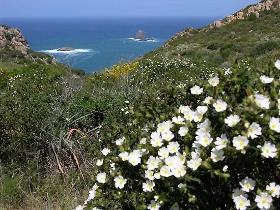 Apartament Casa Coga